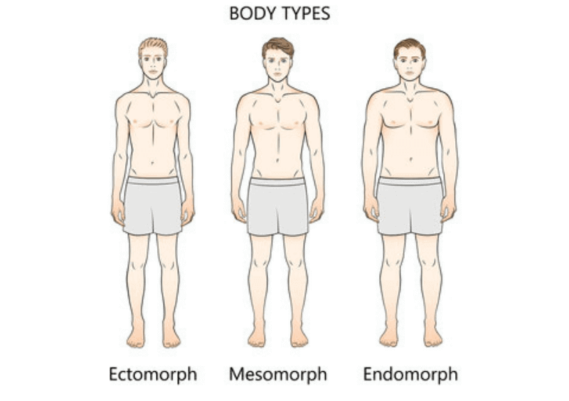 Mesomorph